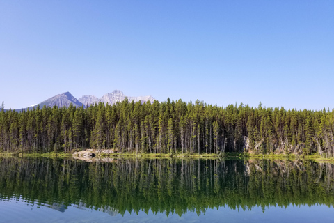 Tagestour zum Peyto Lake, Lake Louise, Johnston Canyon, mehr.Abfahrt von Canmore