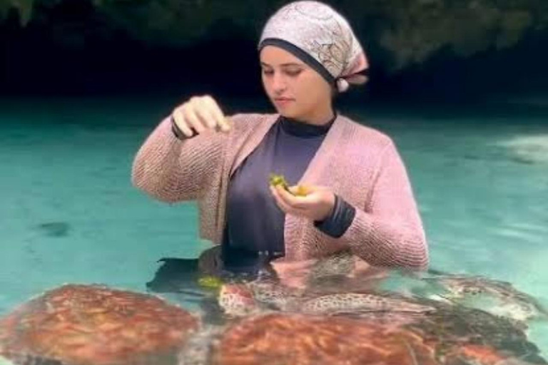 Zanzibar : forêt de Jozani, grotte de Salaam et restaurant The RockTransfert depuis n'importe quel endroit à Zanzibar