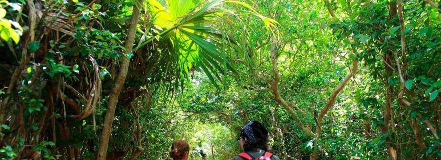 Bermudes : Excursion d'été aux Bermudes (Bermuda Hidden Gems)