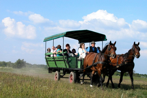 From Budapest: Puszta Horse Show and Countryside Visit Full-Day Puszta Tour (No Pickup)