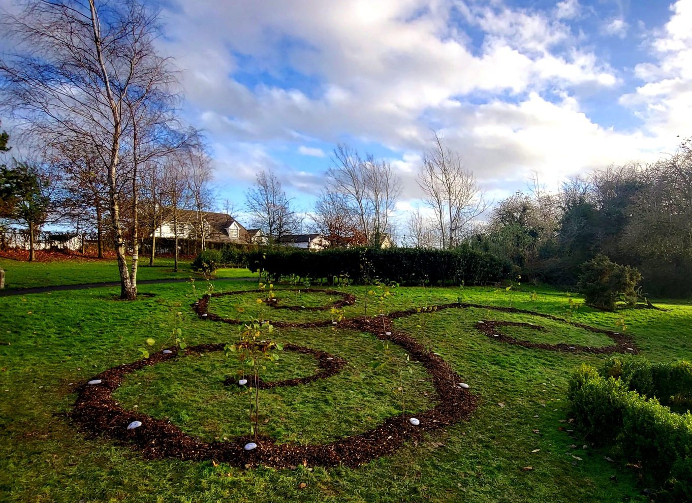 Moate: Adgangsbillet til Dún na Sí Amenity & Heritage Park