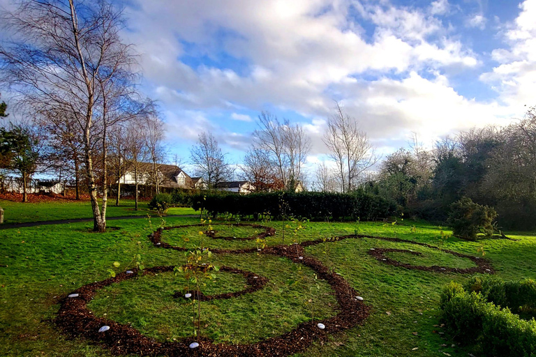 Moate: Dún na Sí Amenity & Heritage Park Admission Ticket