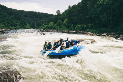 Sri Lanka Bergzug, Wasser-Rafting, Dschungel-Safari