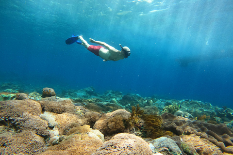 From Bali: Explore West Nusa Penida with Snorkeling From Bali: Nusa Penida West Highlights with Snorkeling