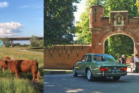 Discover the Dutch Countryside: Car Tour with Local Expert