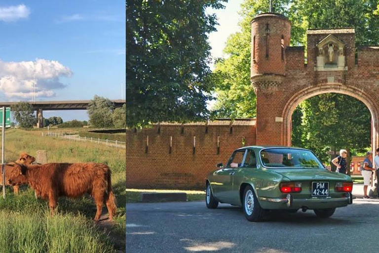 Scopri la campagna olandese: Tour in auto con esperto locale