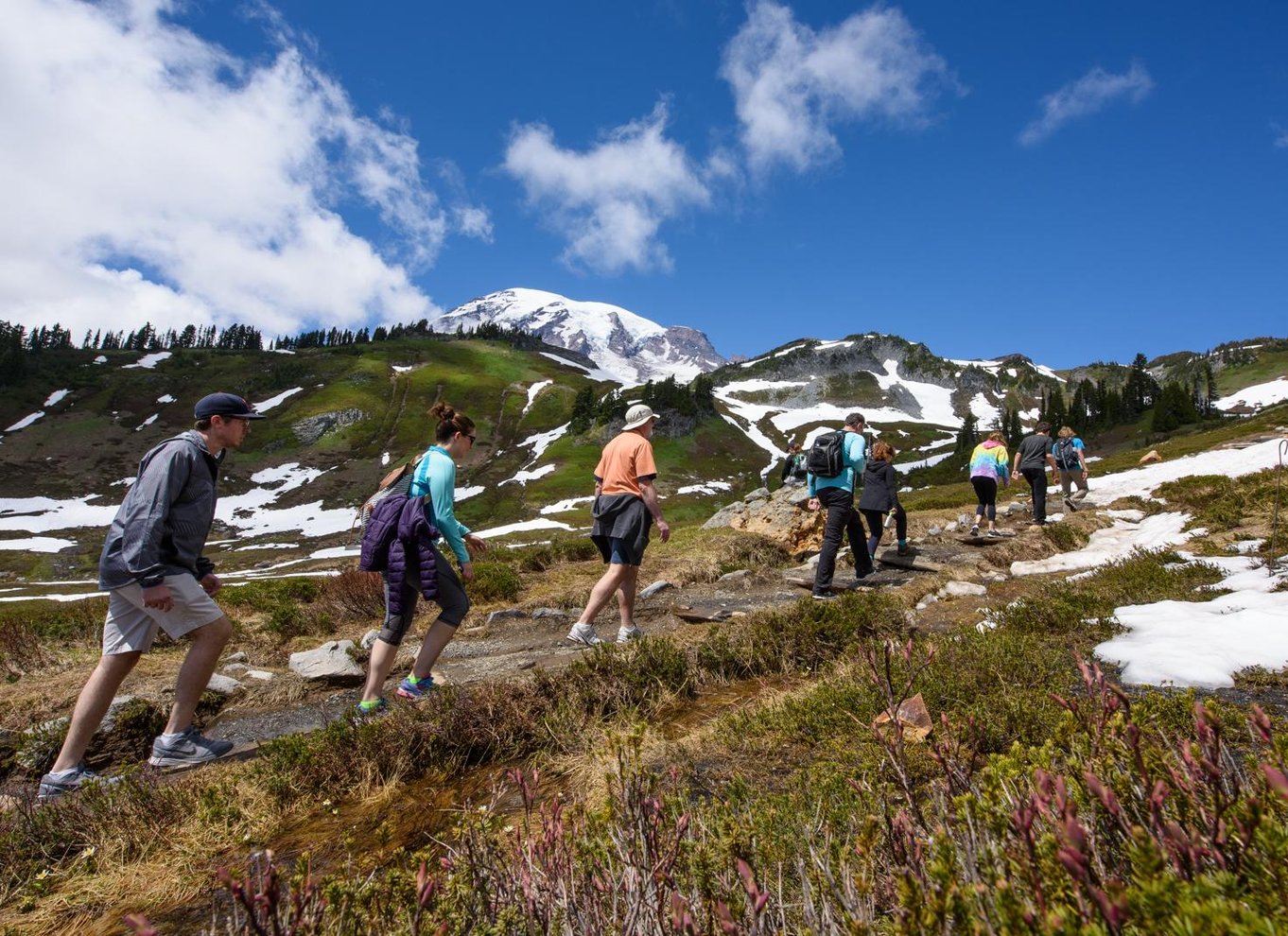 Seattle: Mount Rainier Park All-Inclusive tur med en lille gruppe