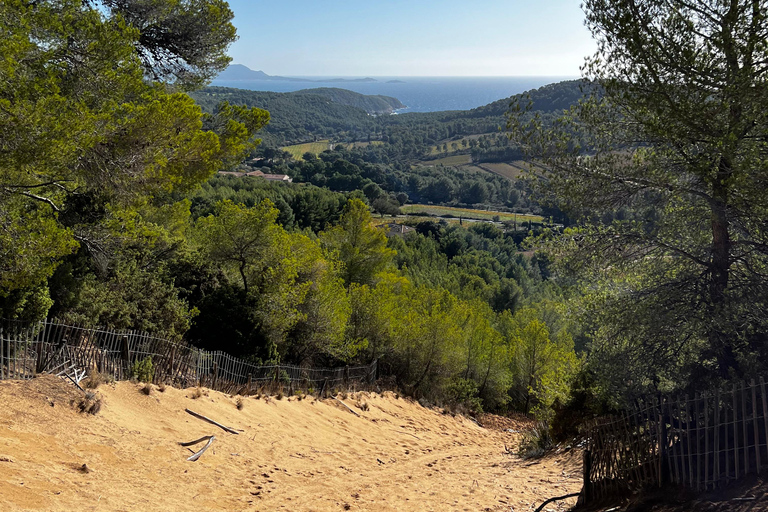 Saint-Cyr-sur-mer: guided hike to the Sand Dune