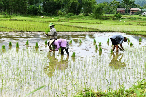 Z Hanoi: 2-dniowa wycieczka grupowa Premium do Mai Chau