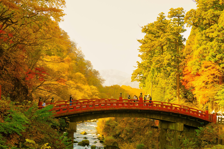 Desde Tokio: Tokio, Kioto, Osaka y Nikko Tour Privado de 7 Días