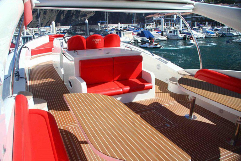 Tenerife: Opera 60 Whale & Dolphin Cruise with Lunch