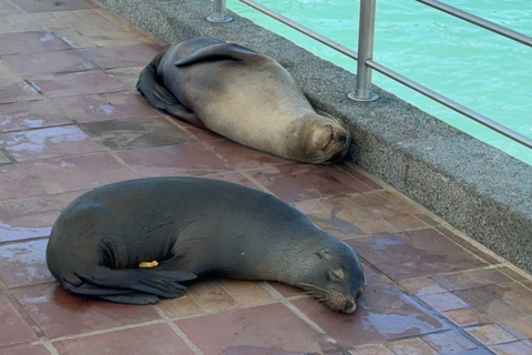 Trasferimenti aeroportuali e tour di rilievo con GPS delle GalapagosTrasferimenti e tour per le Galapagos Getaway