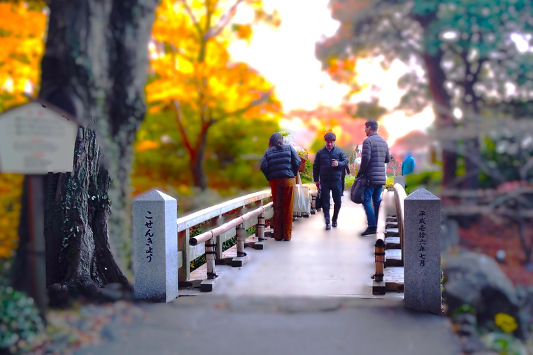 Nagoya: Exploring the Beauty of Tokugawa-en Garden