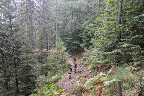 Athènes au Mont Olympe : visite privée de 2 jours
