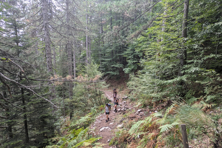 Athènes au Mont Olympe : visite privée de 2 jours