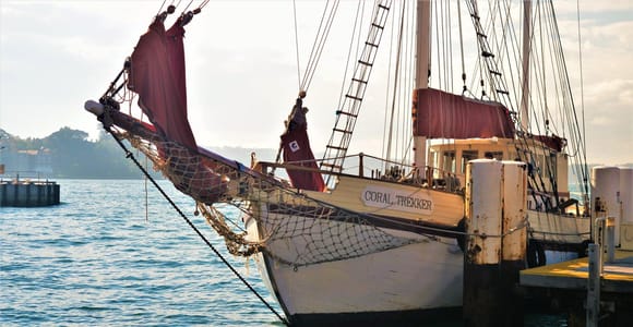 Twilight Dinner Cruise on Coral Trekker