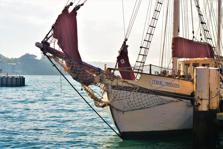 Twilight Dinner Cruise on Coral Trekker