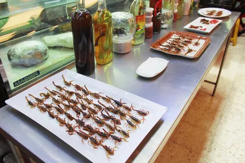 Recorrido por los mercados mexicanos con Mezcal y comida tradicional