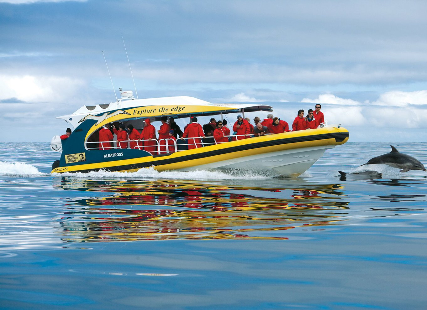 Hobart: Bruny Island Wilderness Coast Eco Cruise med frokost