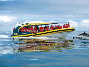 Hobart: Bruny Island Wilderness Coast Eco Cruise with Lunch