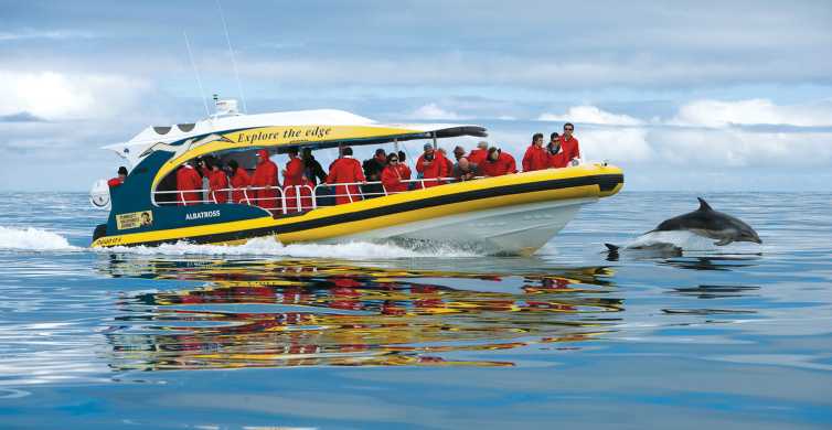 Bruny Island Wilderness Coast Eco Tour from Hobart