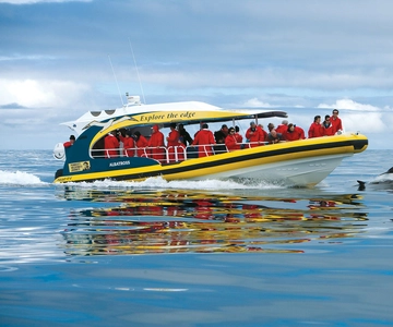 Hobart: Bruny Island Wilderness Coast Eco Cruise with Lunch