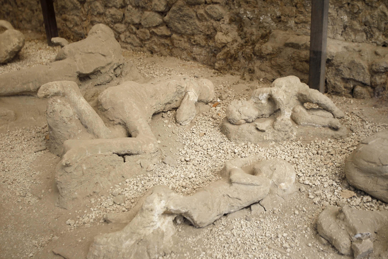 Naples: Pompeii and Herculaneum Guided Tour