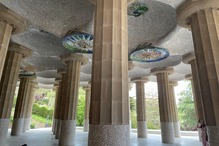 Il giardino di Gaudí: tour guidato del Parco Güell
