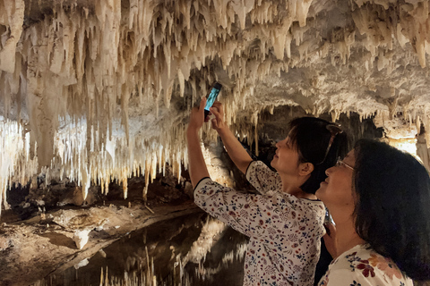 Porto Cristo: Biglietto d&#039;ingresso per le Grotte di HamsMaiorca: visita alle Cuevas Dels Hams