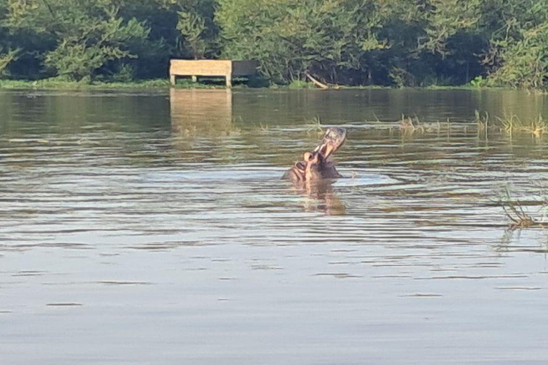 Addis Ababa: 6-Day Abijata Shalla NP & Bale Mountains Tour