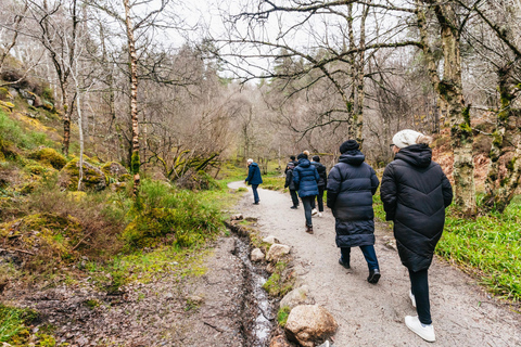 From Aberdeen: Dunnottar Castle and Cairngorms Day Trip