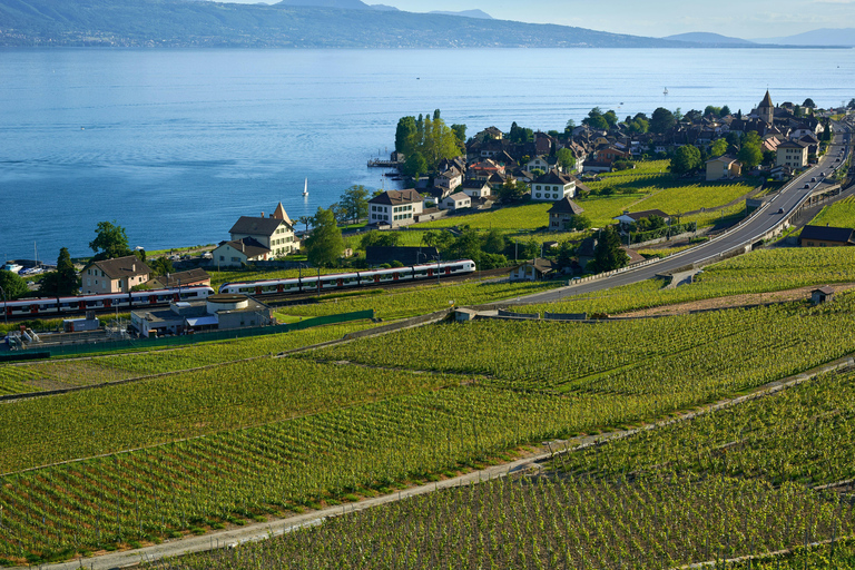 From Zurich: 2-Day GoldenPass Express Self-Guided Train Trip