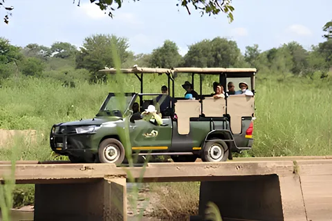 Kruger National Park Safari (Full Day)