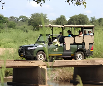 Safari i Kruger nationalpark (heldag)