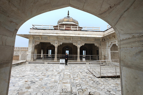 From Delhi: Taj Mahal Sunrise Tour with Elephant SOS Centres Tour with Car, Driver, Ticket, Guide & 5star Meals