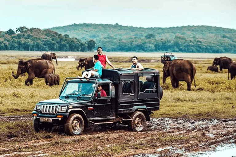 Kaudulla Discovery: Private Elephant Safari from Sigiriya