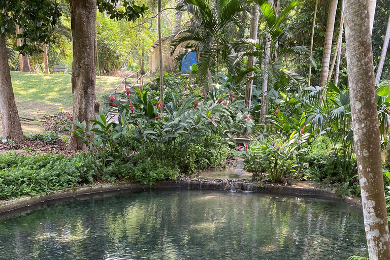 Cartagena: Guided Experience in the Botanical Garden