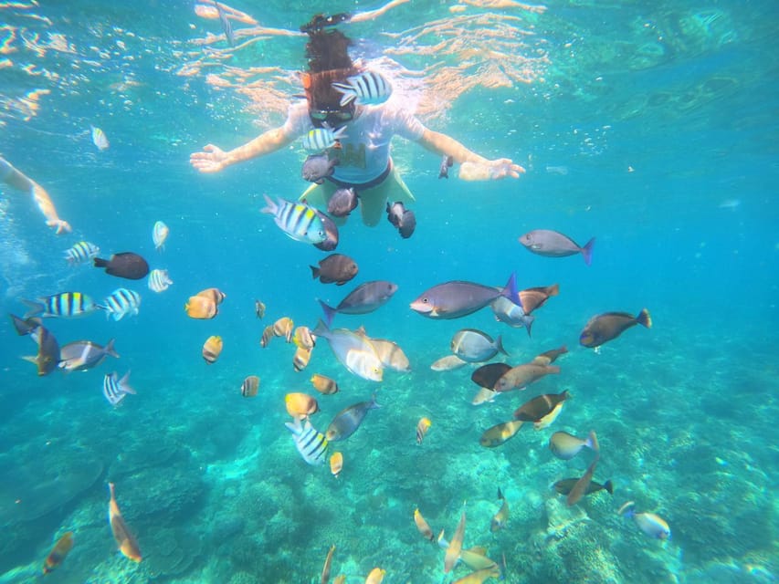 Bali: Blue Lagon Snorkeling & Waterfall Tour | GetYourGuide