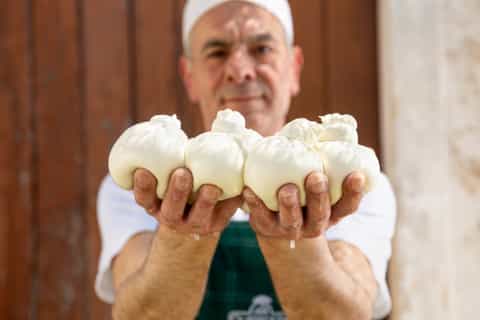 The best Alberobello Cheesemaking experiences - 2026 (Verified