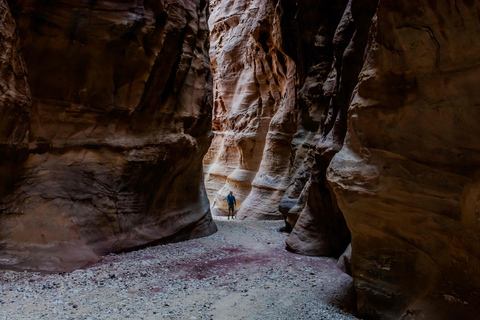 Petra to Wadi Rum Hiking Tour (7 Days) | All-Inclusive