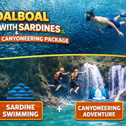 Cebu: Moalboal Sardines Run & Kawasan Falls Canyoneering