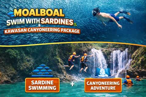 Cebu: Moalboal Sardines Run & Kawasan Falls Canyoneering - Image 3