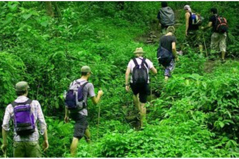 Colombo: Digana Waterfall Swim & Village Walk & Tea Factory