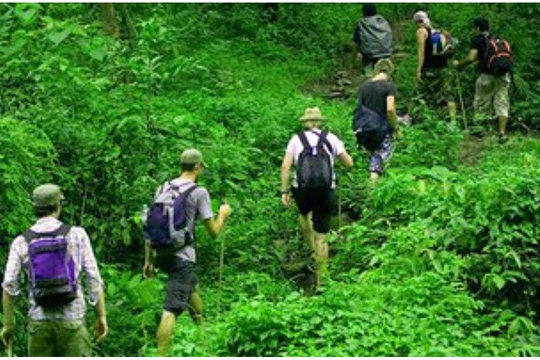 Colombo: Digana Waterfall Swim & Village Walk & Tea Factory