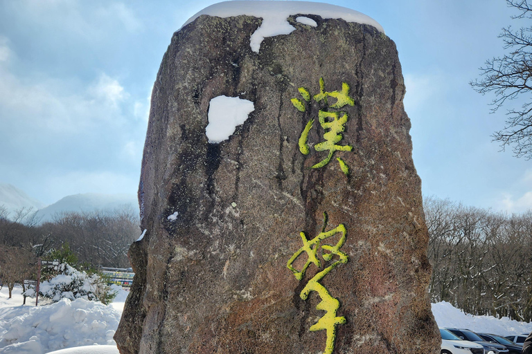 Jeju-si: Excursión guiada por el sur de la isla de JejuJeju-si: Tour guiado por la isla de Jeju