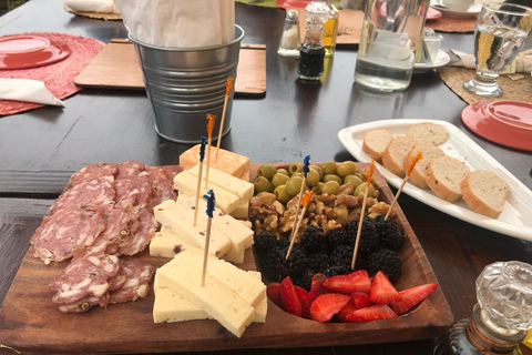 From Tijuana: Valle de Guadalupe Shared Winery Tour