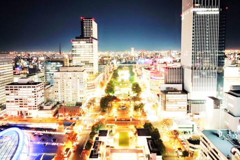 Nagoya: Two Towers, One Night of Urban Elegance