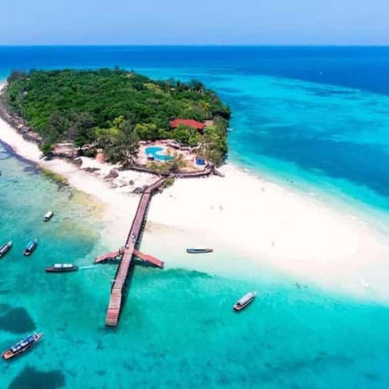 Sansibar: Gefängnis-Insel-, Gewürzfarm- und Schildkrötenschwimm-Tour