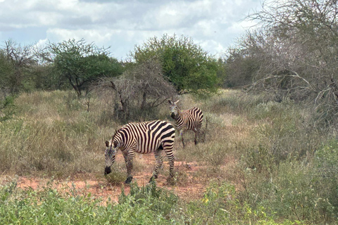Mombasa: 3-Day Tsavo East/West & Kilimanjaro Views Safari