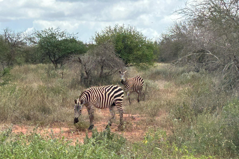 Mombasa: 3-Day Tsavo East/West & Kilimanjaro Views Safari